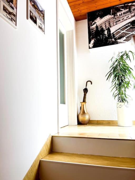 Apartma Kenda Bled Exterior foto